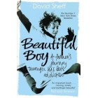 Beautiful Boy : A Father's Journey Through His Son's Addiction